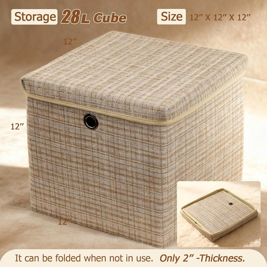 Collapsible Fabric Storage Box with Lid (Set of 2)