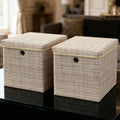 Collapsible Fabric Storage Box with Lid (Set of 2)