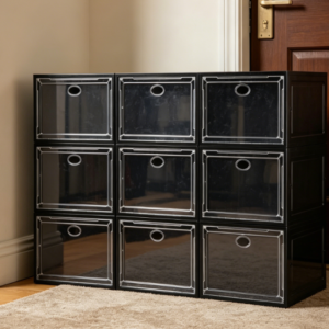 Sturdy Transparent Shoe Storage with Magnetic Door