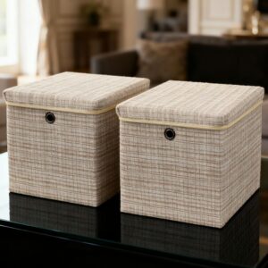 Collapsible Fabric Storage Box with Lid (Set of 2)